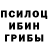 Галлюциногенные грибы Cubensis Ervin Koroman