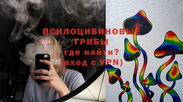 стаф Баксан