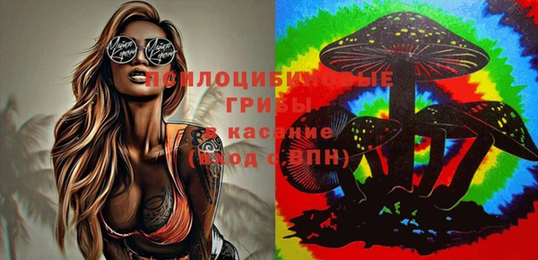 стаф Баксан