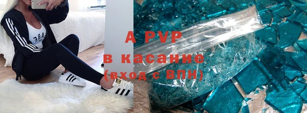стаф Баксан