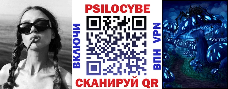 купить наркоту  Облучье  Псилоцибиновые грибы мицелий 